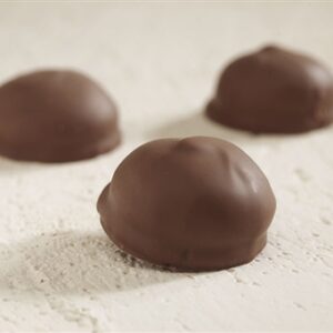 Ambachtelijke chocoladezoenen 4st